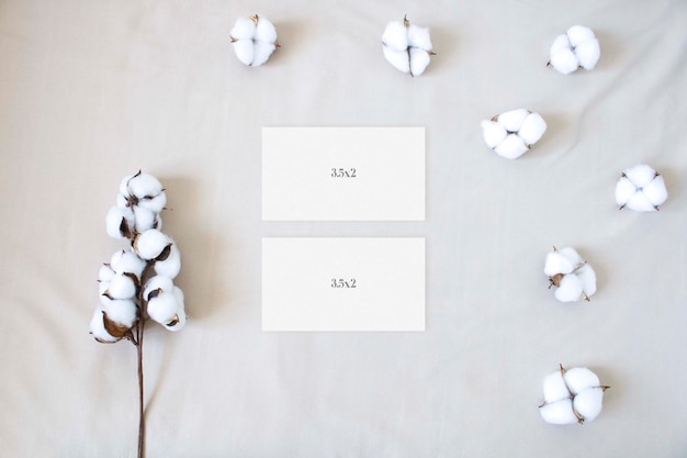 Business cards mockup with cotton plant on the neutral background