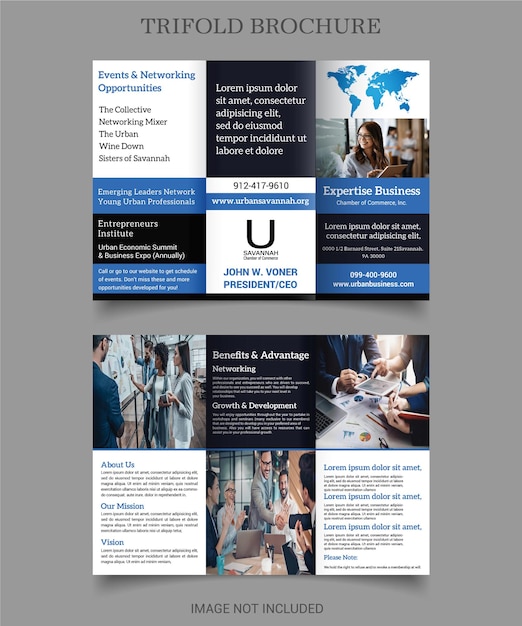 Business Trifold Brochure Template