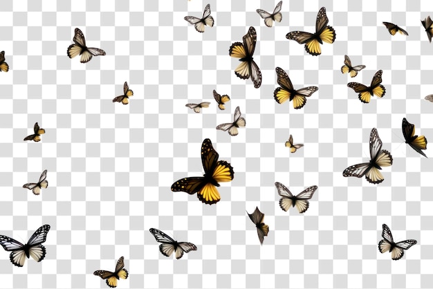 Butterflies flying transparent background