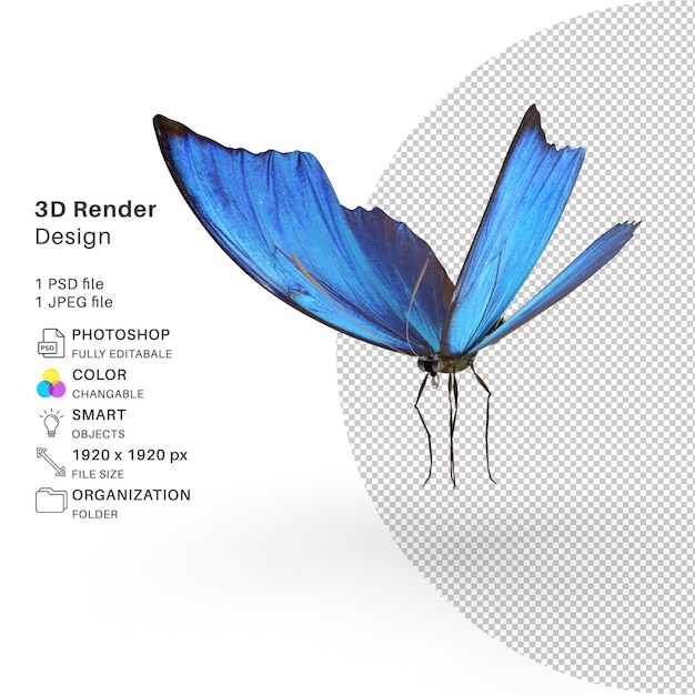 Butterfly 3D Modeling PSD File Realistic Butterfly