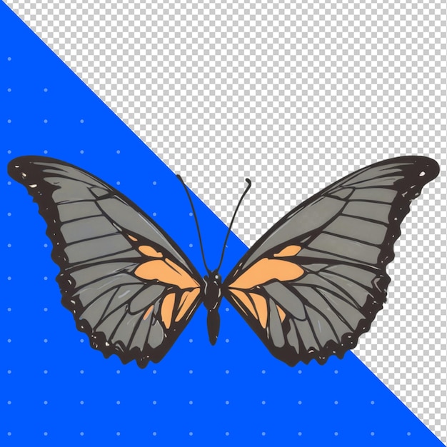 A butterfly that is on a transparent background png