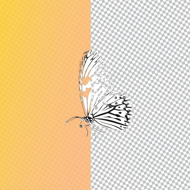 PSD a butterfly with a white background with a butterfly on the right side