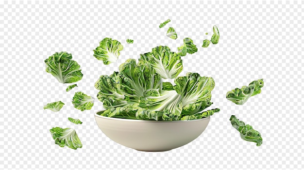 Cabbage in bowl realistic vegetable healty food isolated on transparent background