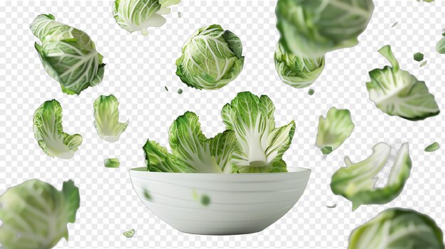 Cabbage in bowl realistic vegetable healty food isolated on transparent background