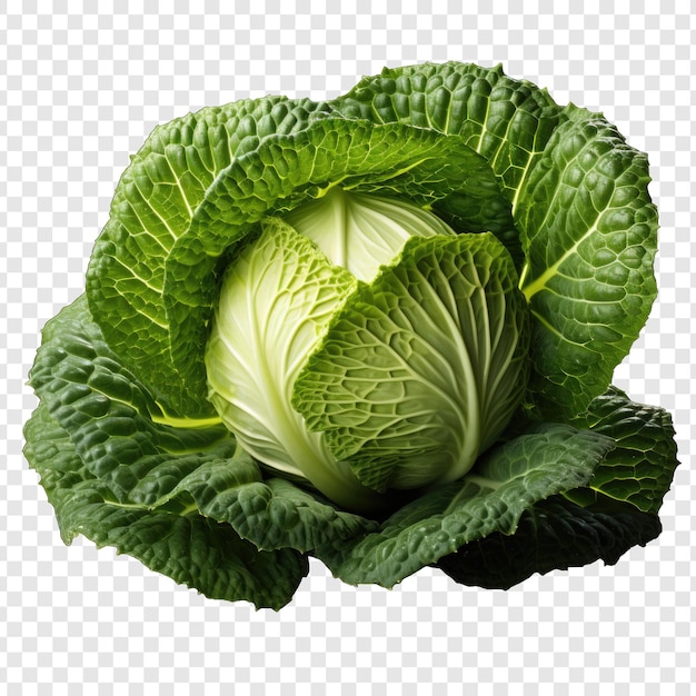 PSD cabbage isolate style png with white background illustration generative ia