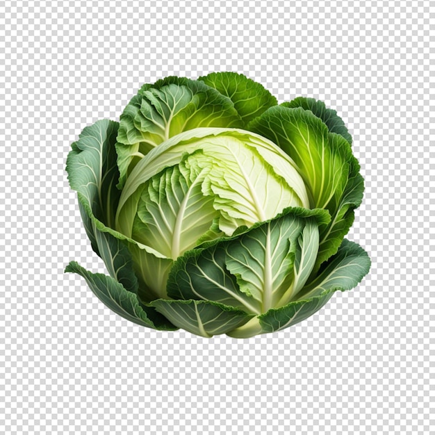 Cabbage isolated on transparent background