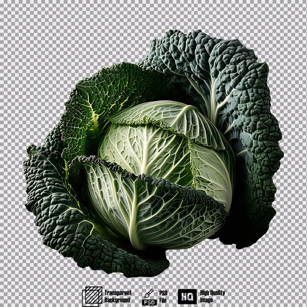 Cabbage isolated on transparent background