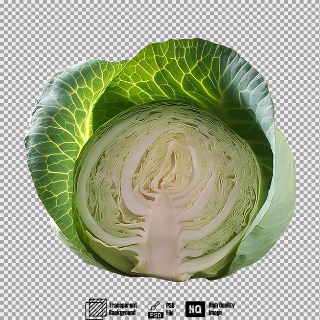 Cabbage isolated on transparent background