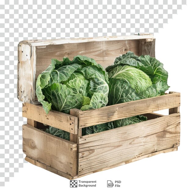 PSD cabbage in a wooden crate transparent background