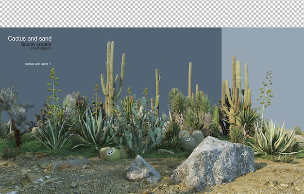 Cactus garden on sand with decorative stones