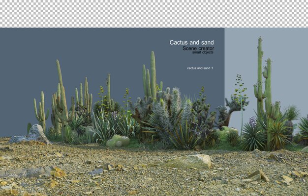 PSD cactus garden on sand with decorative stones