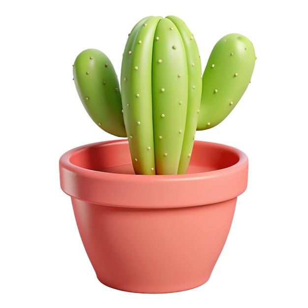 a cactus plant with a white background with a white background