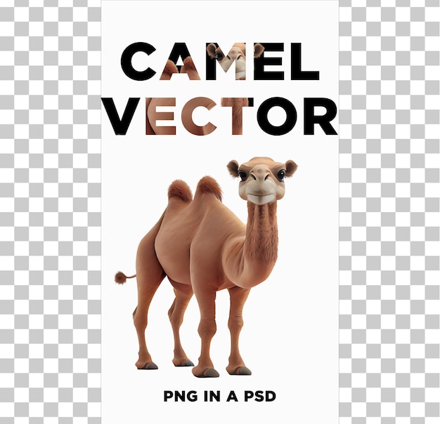 PSD camel vector png in a psd