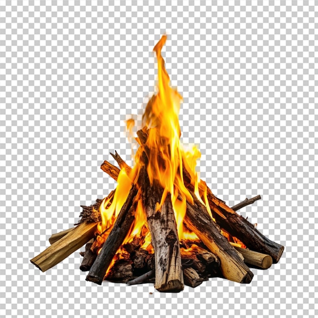 campfire with lump wood on transparent background