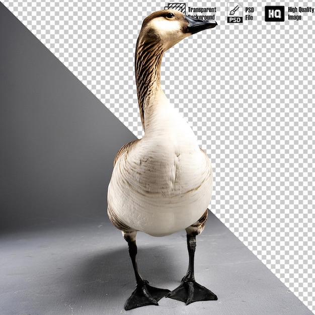 Canada Goose Full Body on Transparent Background