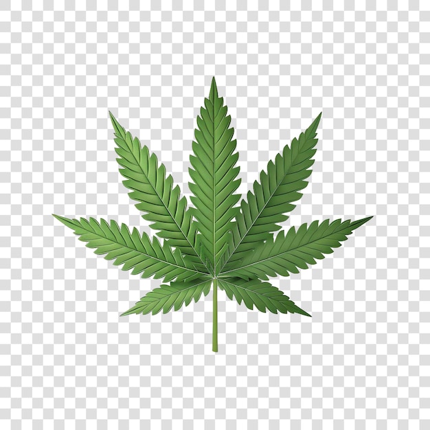 PSD cannabis leaf flower plant element realisticon transparent background