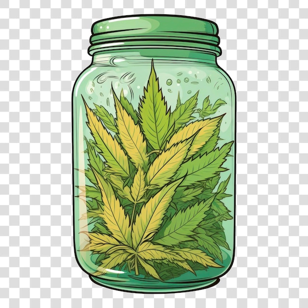 Cannabis leaves in glass jar