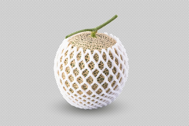 Cantaloupe melon isolated on alpha backgroundxA