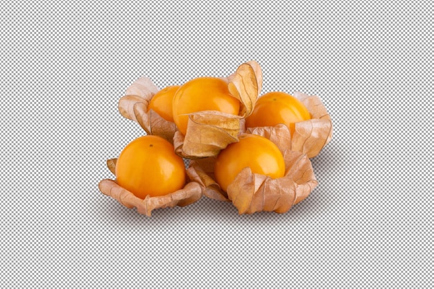 Cape gooseberry physalis isolated on alpha background