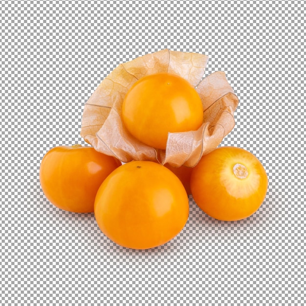 Cape gooseberry physalis isolated on alpha background