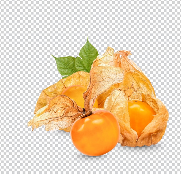 Cape gooseberry, physalis with leaves isolated Premium PSD