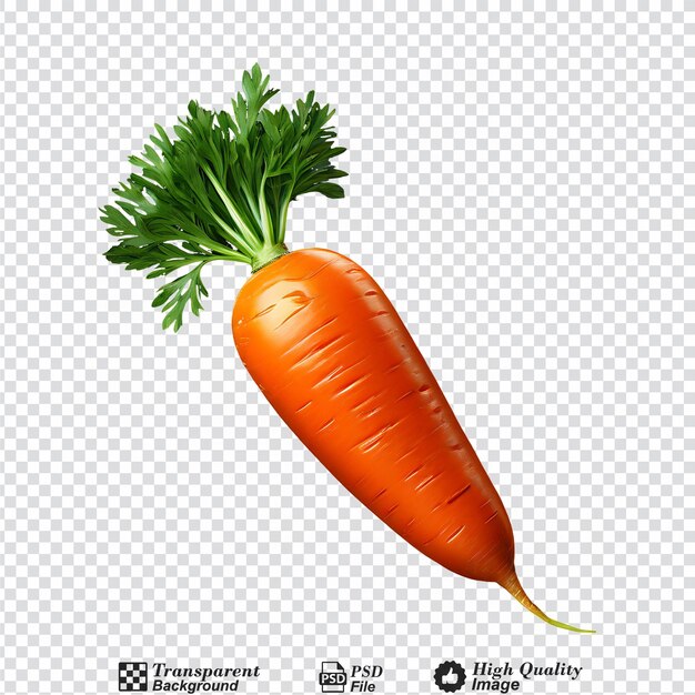 carrot isolated on transparent background