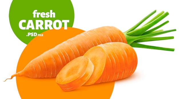 Carrot isolated, vegetable banner