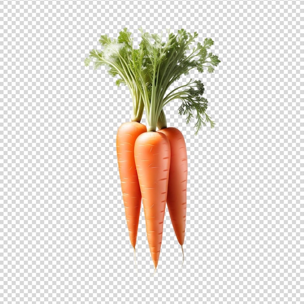 Carrot shown against transparent background