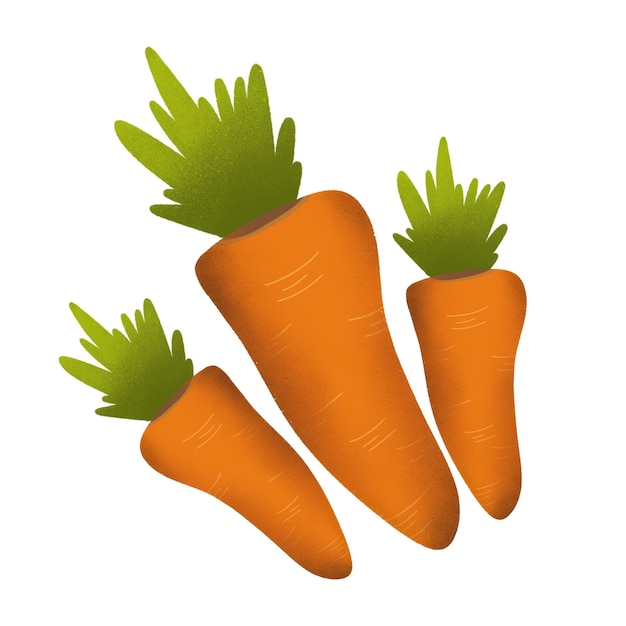 Carrots