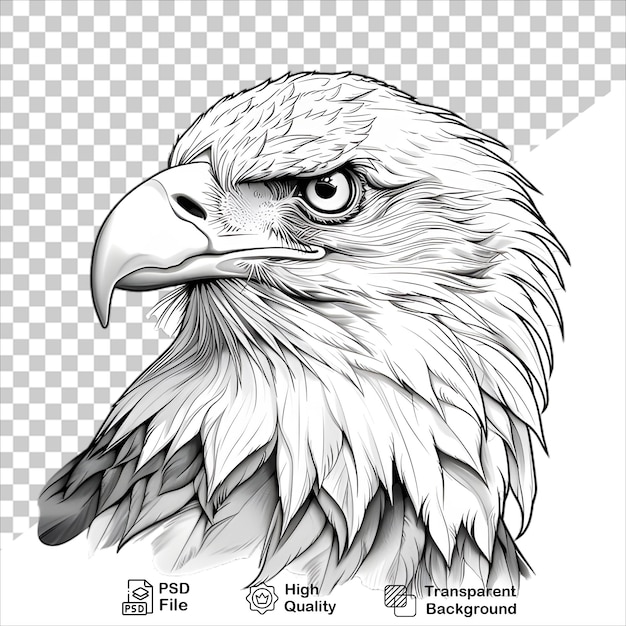 cartoon Eagle with Wings in Full Flight Transparent Background