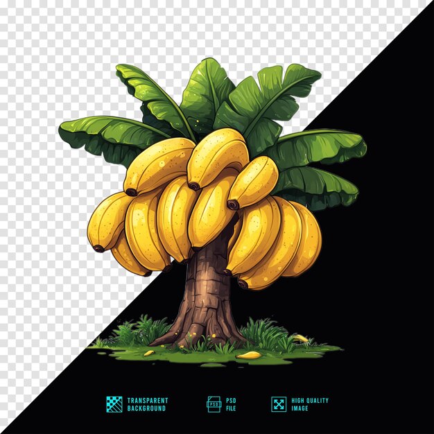 Cartoon fruiting banana tree clipart simple flat vector illustration transparent png file