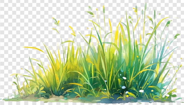 PSD cartoon style grass isolated on transparent background png