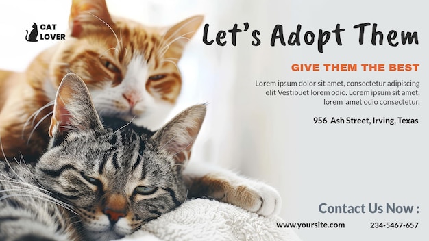 PSD cat adoption banner template