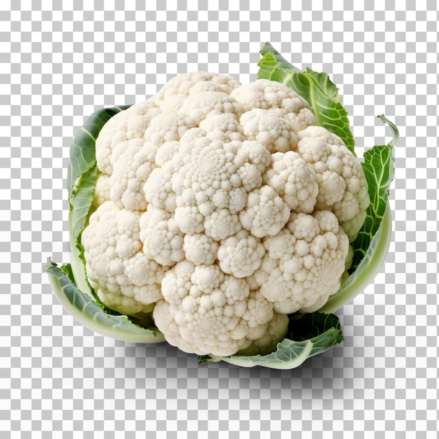 Cauliflower isolated on transparent or white background png