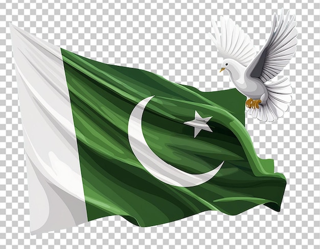 Celebrations on Pakistan Independence Day PNG Illustration