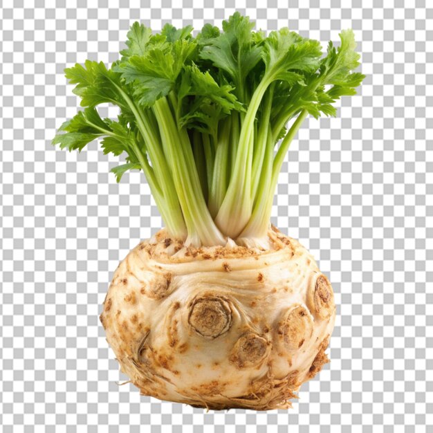 PSD celeriac transparent background