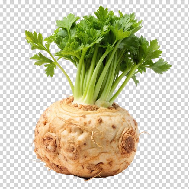 PSD celery root with leaf isolated on transparent background