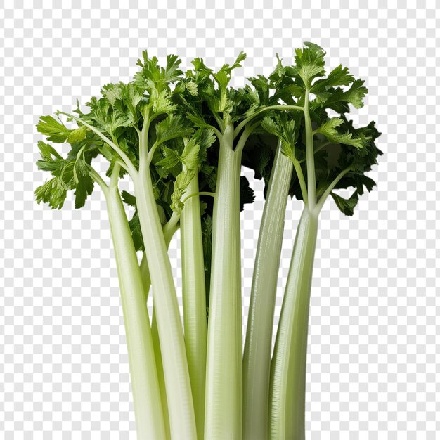 PSD celery on transparent background