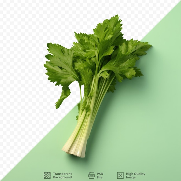 Celery on transparent background