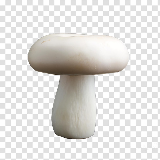 champignon mushroom on transparent background