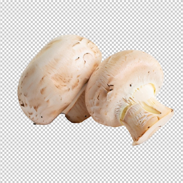 Champignon mushrooms On Transparent Background