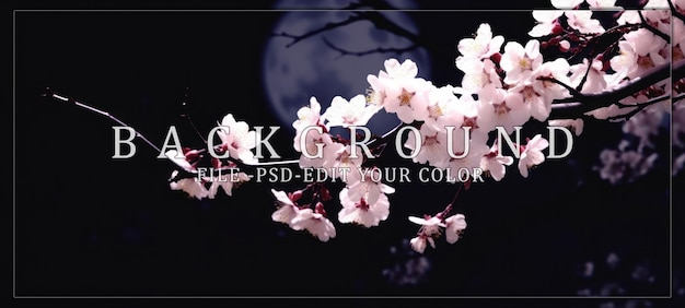 PSD cherry blossom branch under the moonlight