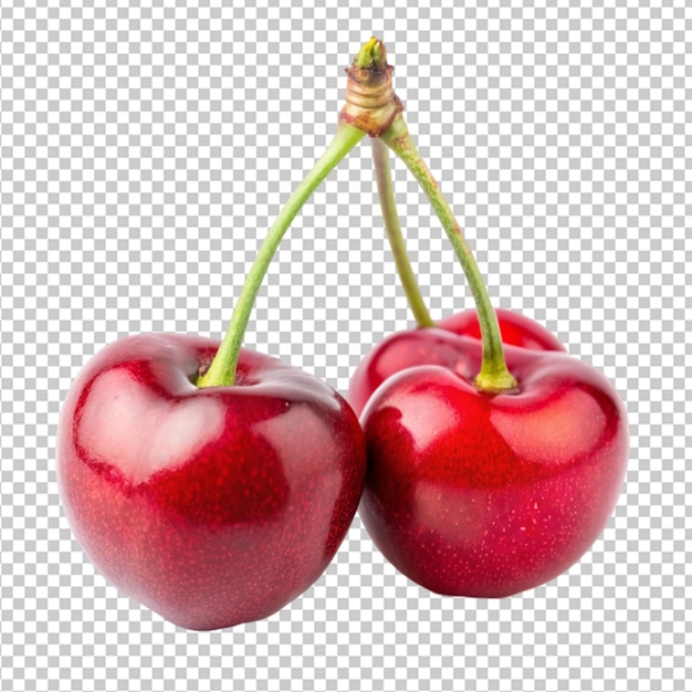 cherry fruit two cherries