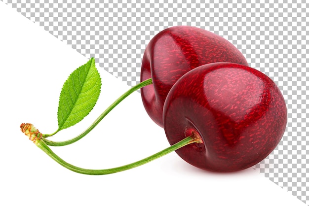 Cherry isolated on white background with clipping path