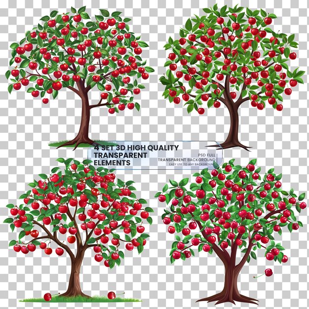 PSD cherry tree isolated png on transparent background