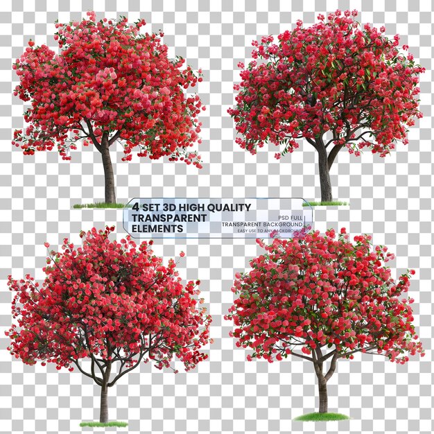 PSD cherry tree isolated png on transparent background