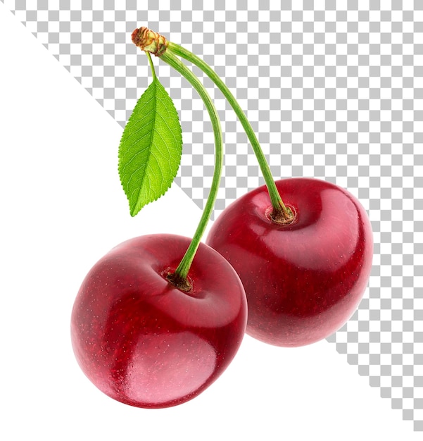 Cherry with leaves isolated