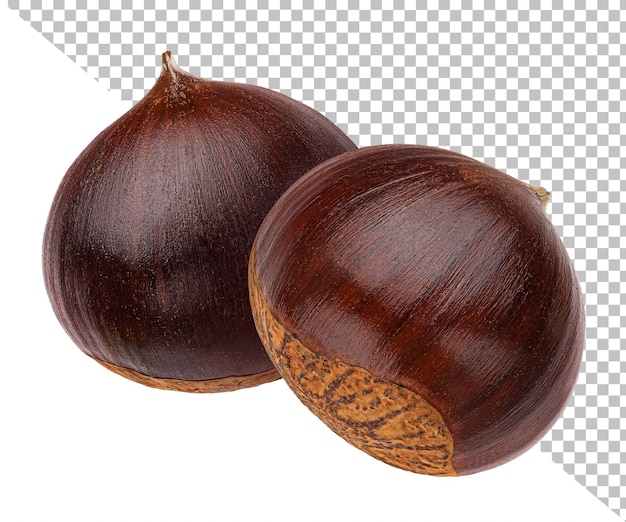 Chestnuts isolated