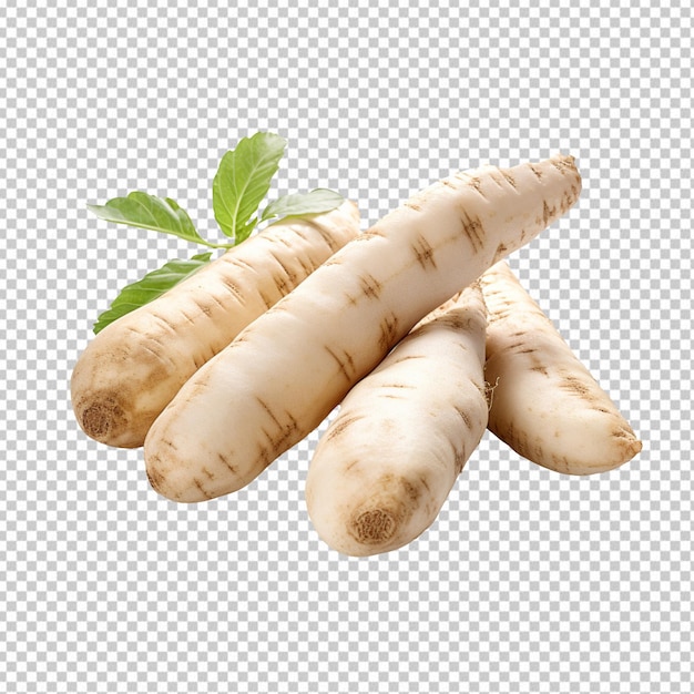 Chinese yam isolated on transparent background