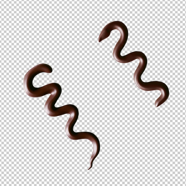 Chocolate snakes no background png